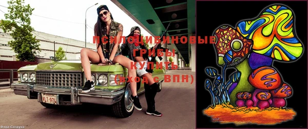 PSILOCYBIN Абинск