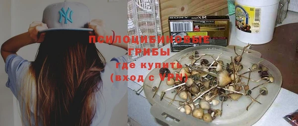 гидропоника Медвежьегорск