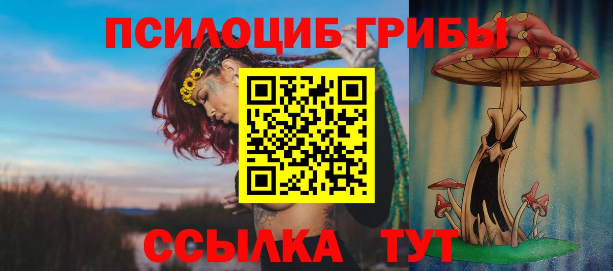 Псилоцибиновые грибы Psilocybine cubensis  Вход с VPN  Азов  Псилоцибиновые грибы мицелий 